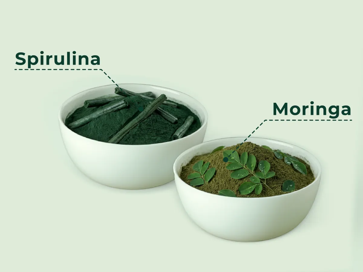 EcoVita A+ Mobile Banner 3